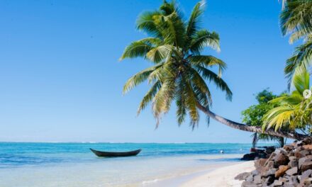Vers de nouvelles connectivités entre La Réunion et  l’île Sainte-Marie ?