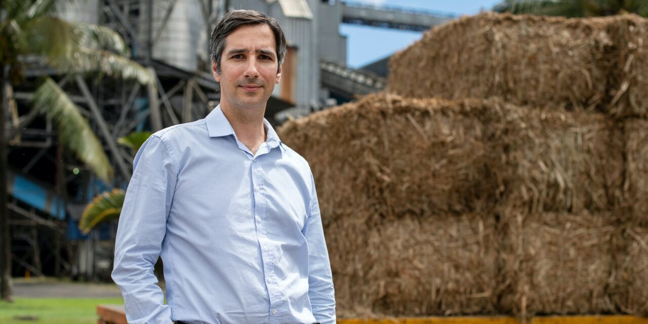 Energie renouvelable : Le secteur nécessite un renouveau