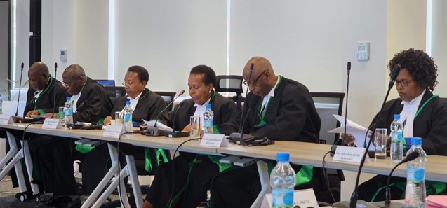 Mesures de Sauvegarde : Le COMESA tranche en faveur d’Agiliss Ltd