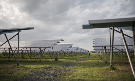 L’agrivoltaïque : idée doublement géniale ou doublement compliquée ?