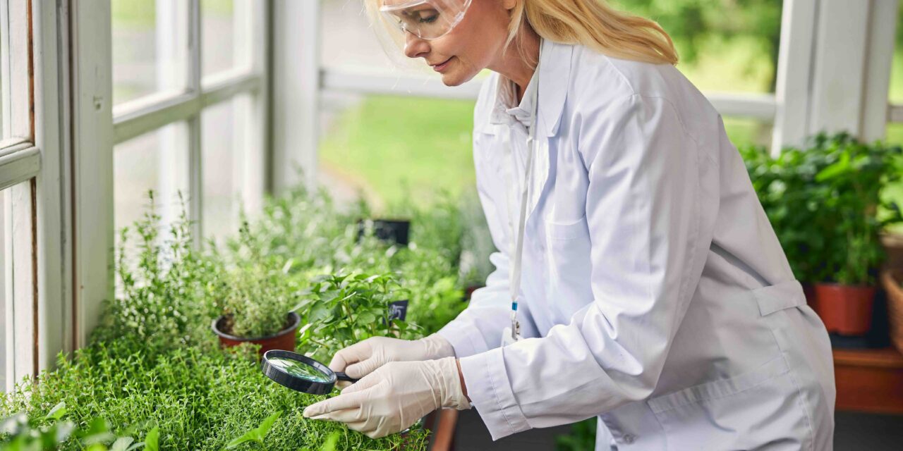 Bioéconomie : Qualitropic et COSMETIC VALLEY partenaires pour la cosmétopée de l’océan Indien