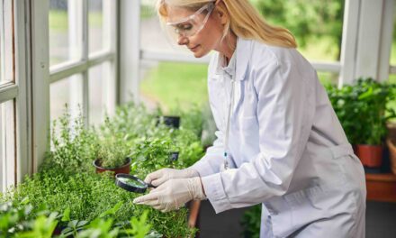 Bioéconomie : Qualitropic et COSMETIC VALLEY partenaires pour la cosmétopée de l’océan Indien