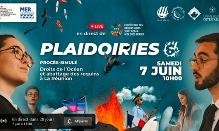 Le 7 juin : participez au procès contre l’abattage des requins de La Réunion