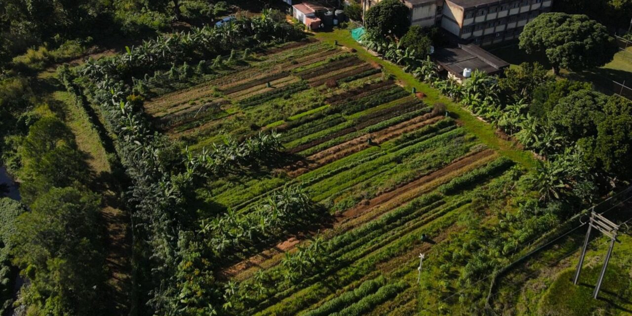 Agroécologie : MCB Forward Foundation labellisée pour sa ferme à Riche-en-Eau