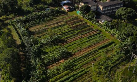 Agroécologie : MCB Forward Foundation labellisée pour sa ferme à Riche-en-Eau