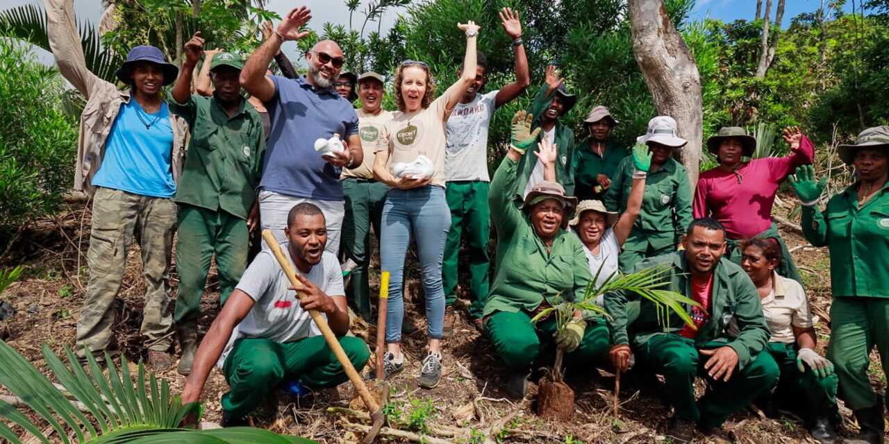 250 arbres plantés par la Distillerie de Labourdonnais à Ebony Forest