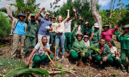 250 arbres plantés par la Distillerie de Labourdonnais à Ebony Forest