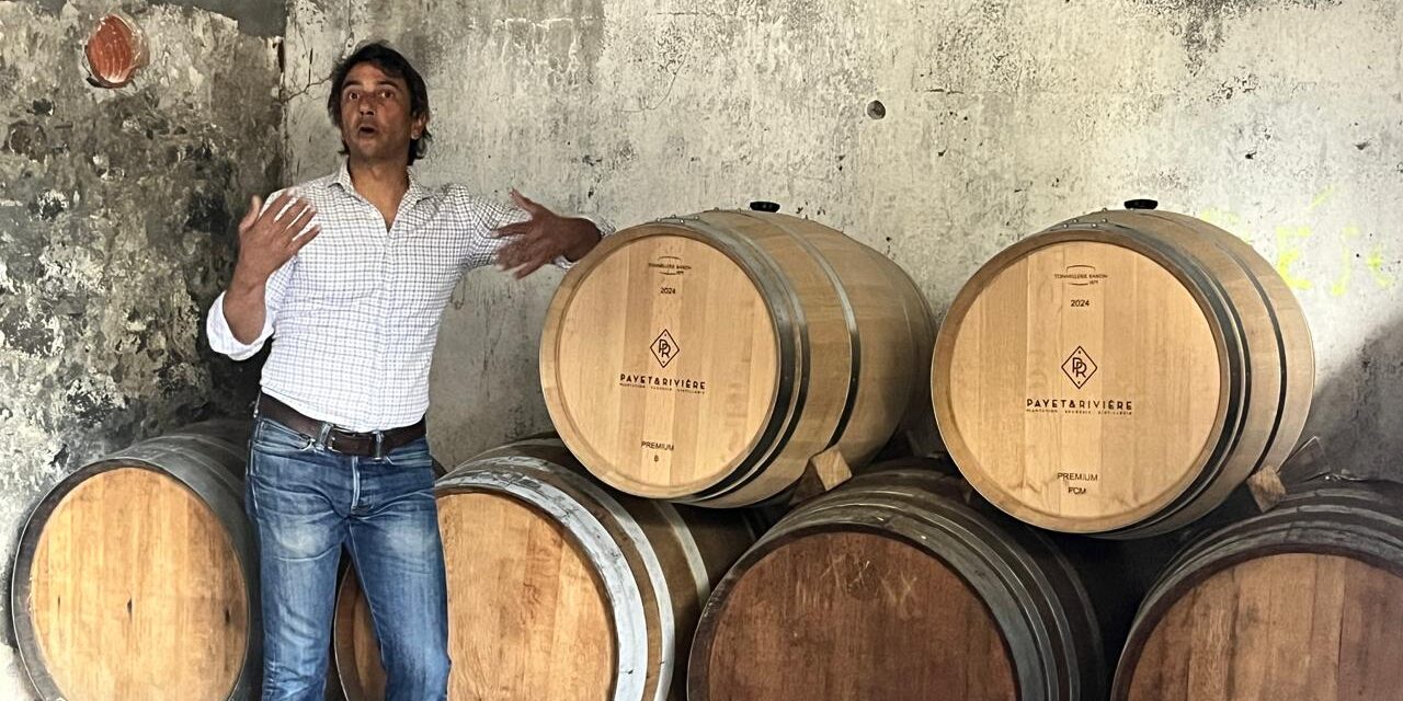 Des rhums blancs d’exception au domaine de Bel-Air