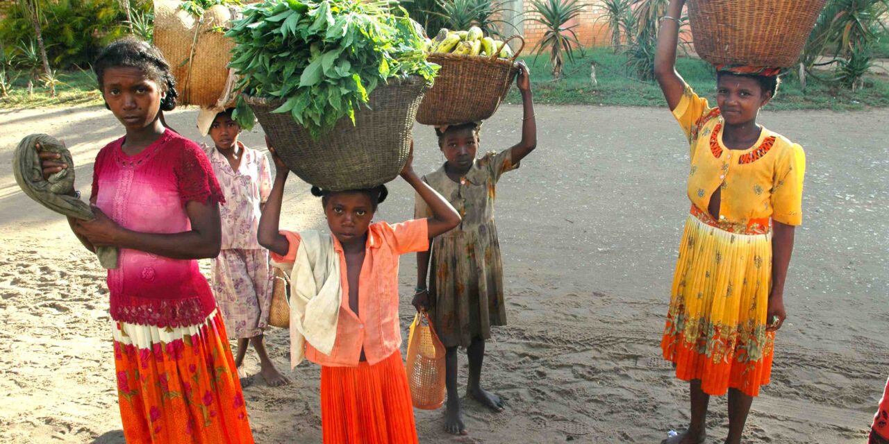 Comment nourrir 30 millions de Malgaches ?