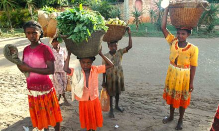Comment nourrir 30 millions de Malgaches ?