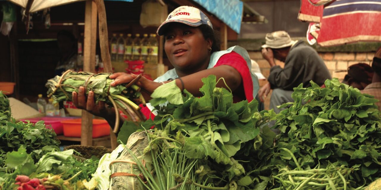 L’agroécologie au cœur du développement à Madagascar