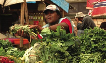 L’agroécologie au cœur du développement à Madagascar
