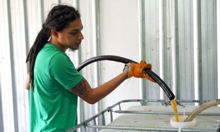 Green Oil ambitionne de récupérer 100 tonnes d’huile usagée en 2025