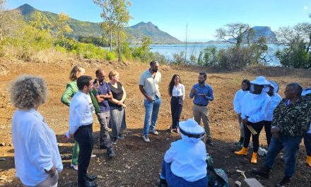 Expertise France en appui de l’État mauricien