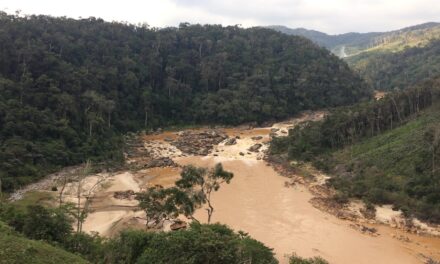 La centrale hydroélectrique de Sahofika en mode relance