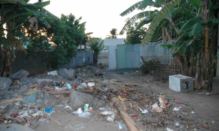 Mayotte : Citeo a recyclé 700 tonnes de déchets en 2024