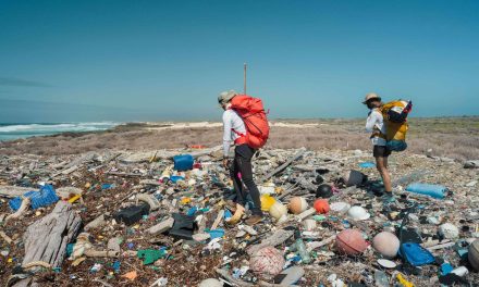 Plastic Odyssey à l’abordage de Saint-Brandon et Aldabra