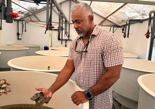 Aquaculture : Mauricoast mise sur l’innovation durable