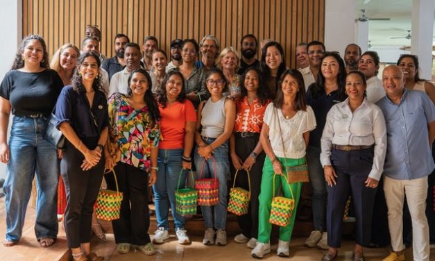Innovation, développement durable et local : immersion au Ravenala Attitude