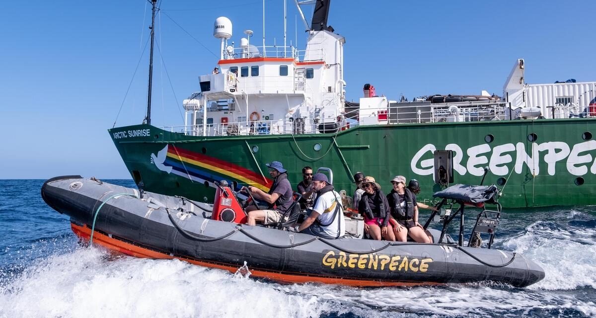 Banc de Saya de Malha, une urgence pour Greenpeace