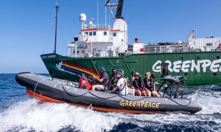 Banc de Saya de Malha, une urgence pour Greenpeace